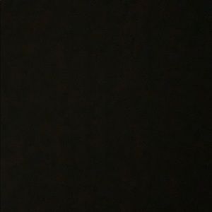 Meet your Posher, Elona